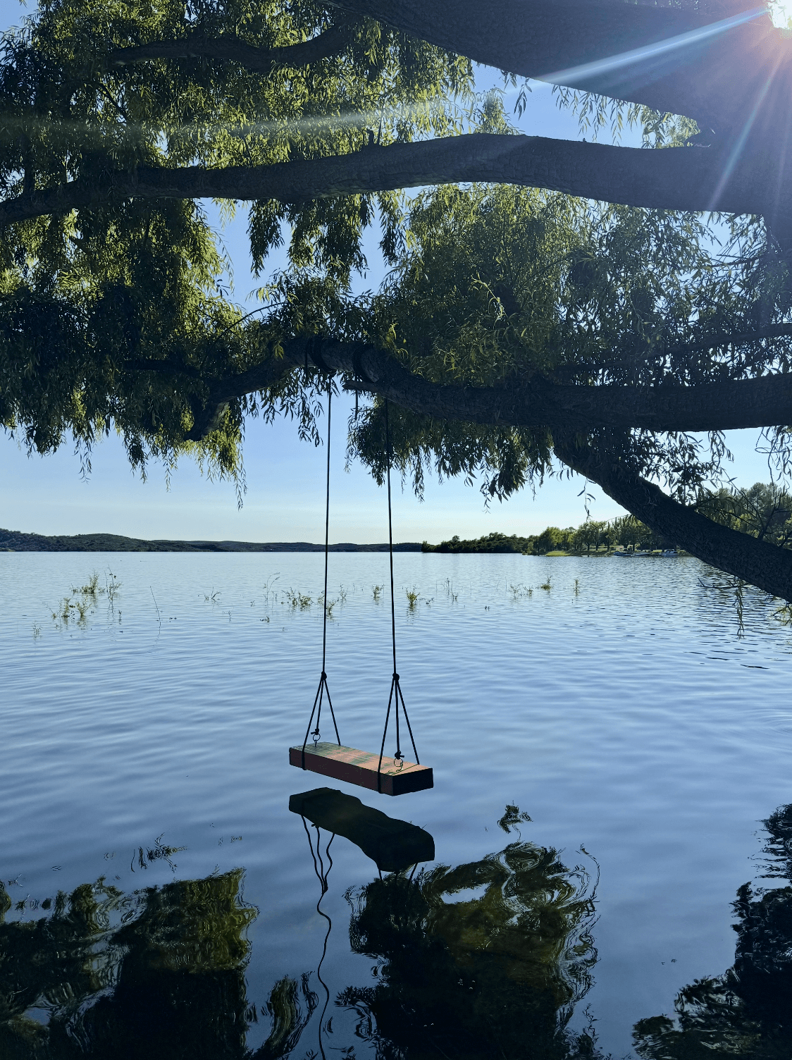 Rope swing over the glassy lake